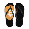 Bitcoin Flip-Flops 4